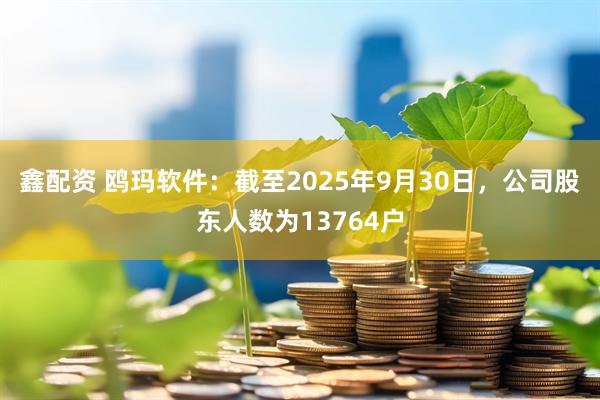 鑫配资 鸥玛软件：截至2025年9月30日，公司股东人数为13764户